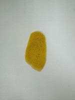 ����� ����������� �������